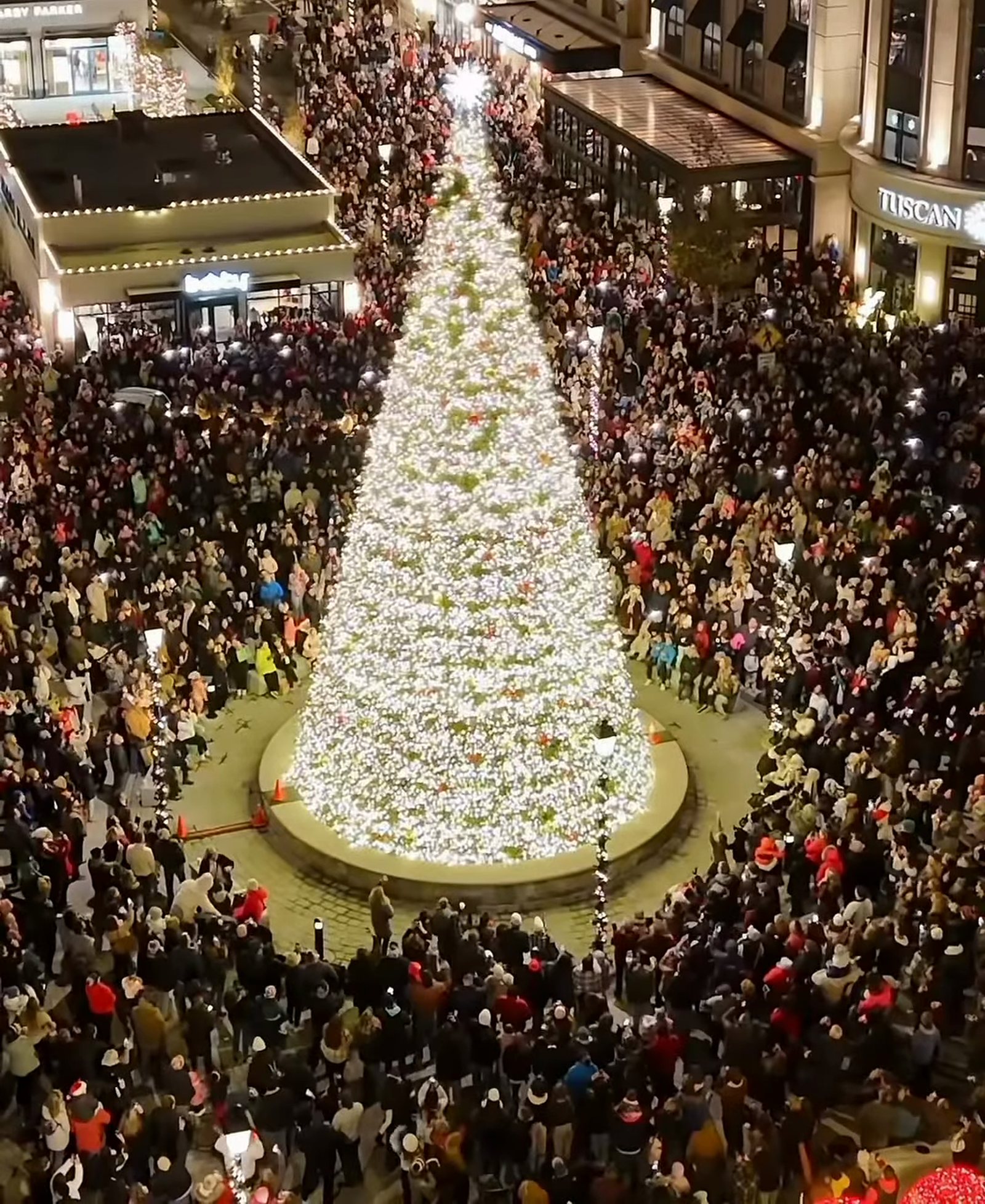 Tuscan Village’s 50-foot tree lit in the center square at the 2025 tree lighting